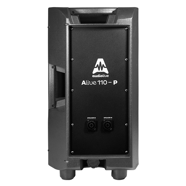 Altavoz pasivo profesional ALIVE110-P de 10 con potencia 1000W de AudioLive